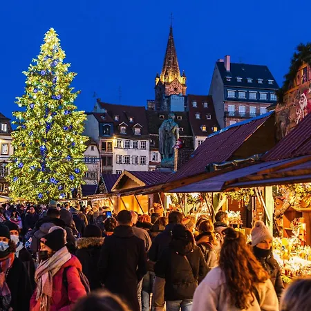 Luminous In Near Strasbourg, Conveniently Located Next To A Tram Stop With Direct Access To Strasbourg Centre * Kehl