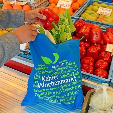 Apartment Luminous In Near Strasbourg, Conveniently Located Next To A Tram Stop With Direct Access To Strasbourg Centre *